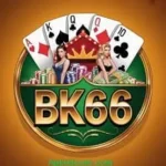bk666 game
